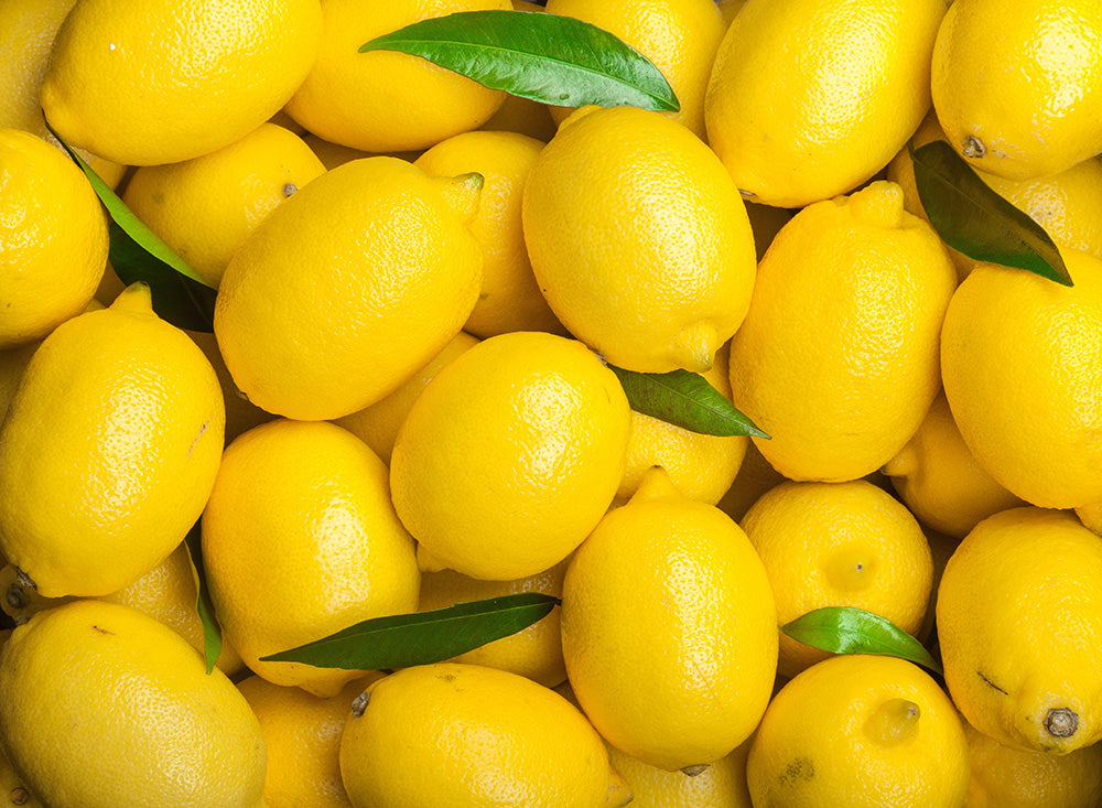 GINGER LEMON HONEY -レモンの効能-
